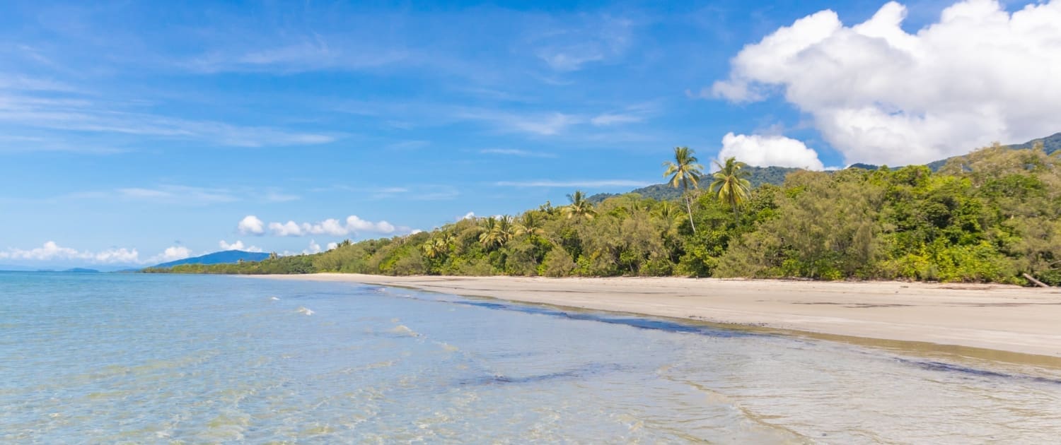 Property Valuations Cairns Property Valuations Cairns, A tropical beach with clear blue water, white sand, and lush green palm trees under a bright blue sky—enjoy paradise while exploring Property Valuations Cairns for your next dream investment.