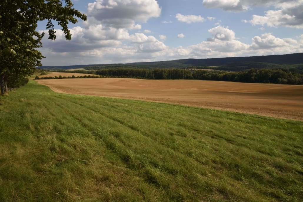A wide, open field with green grass in the foreground and harvested brown farmland in the middle, ideal for Vacant Land CGT Valuations, bordered by distant trees and low hills under a partly cloudy blue sky.
