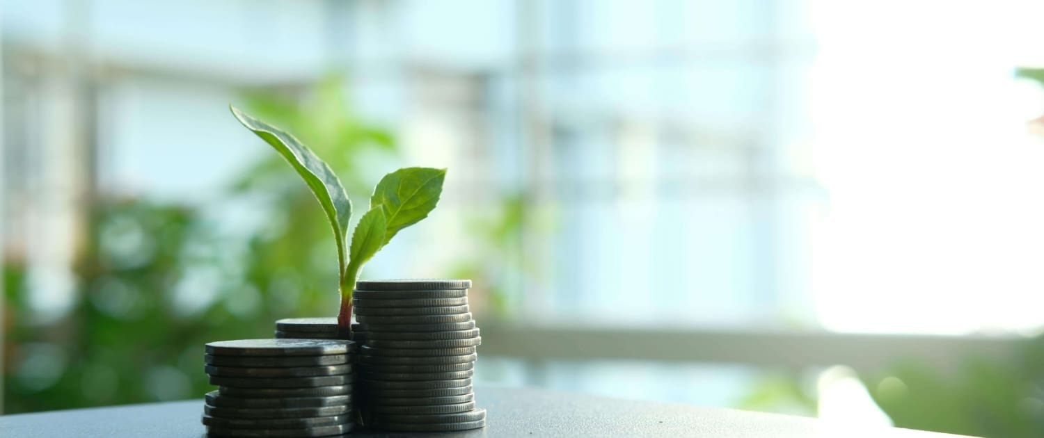 Stacks of coins with a small green plant sprouting from them, symbolizing financial growth or investment—ideal for illustrating SMSF Asset CGT Valuations—set against a blurred, light-filled background with greenery.
